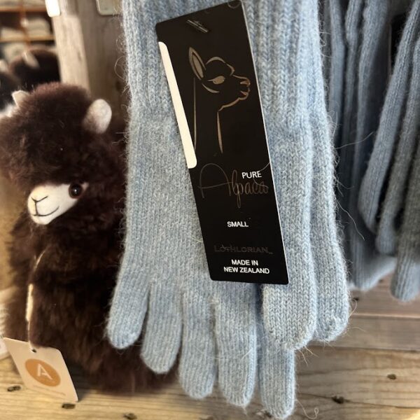 Gloves