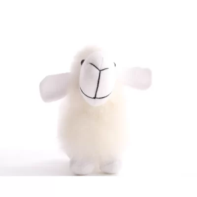 Real Baby Alpaca Sheep